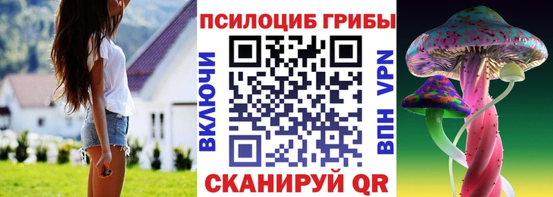 купить наркоту  Куровское  Галлюциногенные грибы GOLDEN TEACHER 